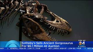 Full Dinosaur Skeleton Sells At Auction For $6.1 Million