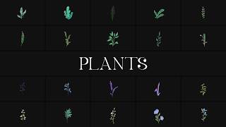 Free Plants (Ae) - Hand-Sketched Motion Flora screenshot 5