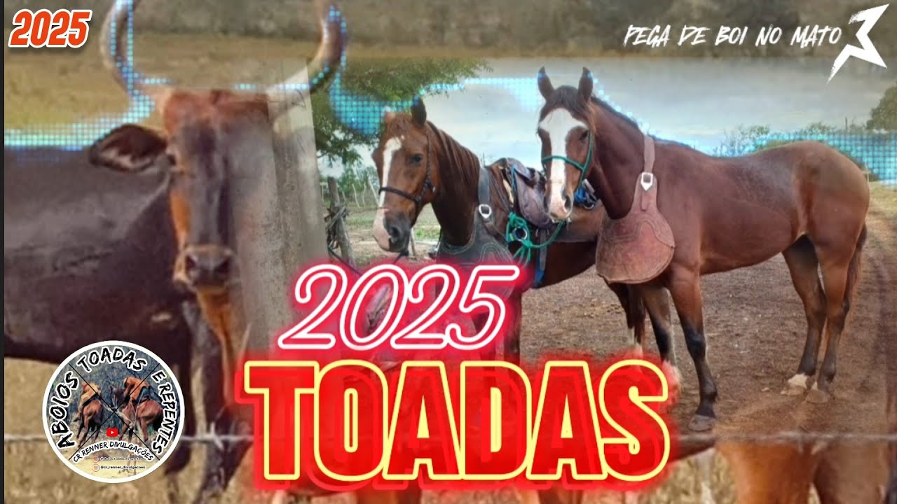 Toadas & Repentes Falando em Vida de Vaqueiros Aboios Toadas e Repentes 