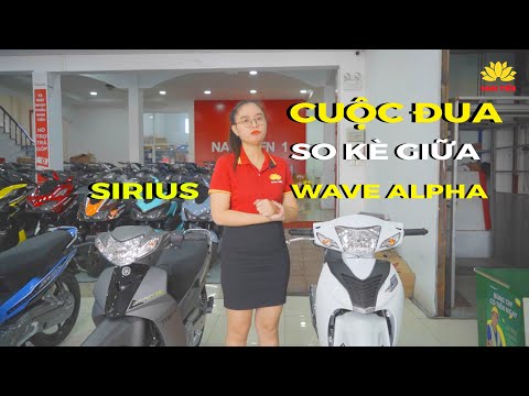 Video HONDA WAVE ALPHA VÀ YAMAHA SIRIUS - CHỌN XE SỐ QUỐC... - youtube
