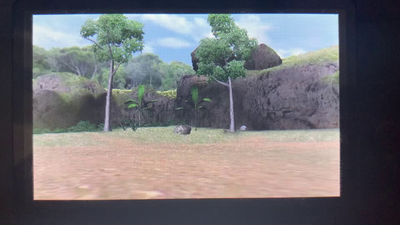 Zoo Resort 3DS: Saltwater Crocodile