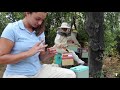 Inside Tenuta Ritiro - italian beekeeping- buckfast queen bees production