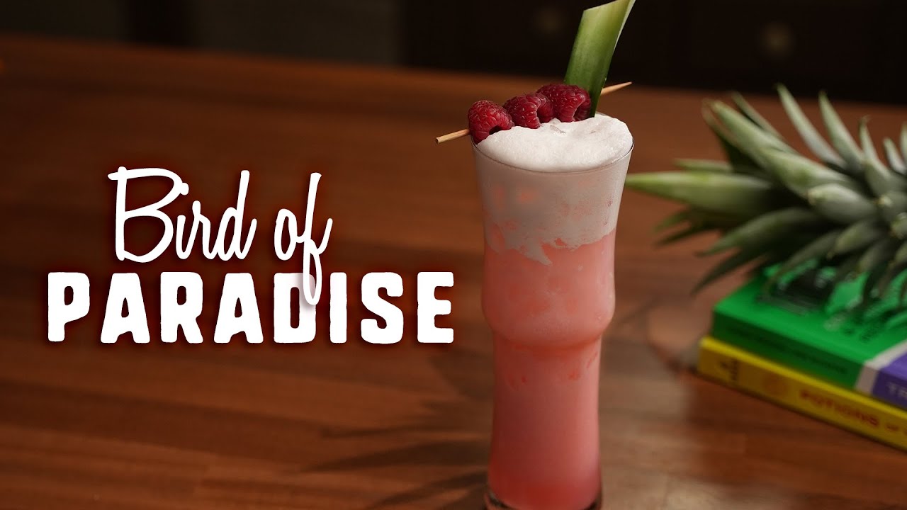 A Tropical Gin Fizz that you need to try now YouTube