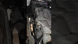 Motor Dieselmotor D0836LFL60 D0836 LFL 60 250 PS MAN TGL 12.250 (476-251 4-4-0)