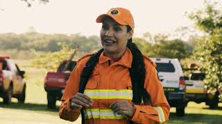 Treinamento e acao integrada contribuem contra incendios florestais em MS