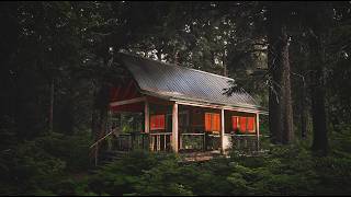 It Changed Our Mind. Living Rustic Off Grid Life in the Alaska Wilderness by Homesteady 50,322 views 1 month ago 1 hour, 3 minutes