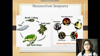 Biologi Vid 4, Pertumbuhan dan Perkembangan Hewan dan Manusiawi, Kelas XII IIS Biologi Vid 4, Pertumbuhan dan Perkembangan Hewan dan Manusiawi, Kelas XII IIS