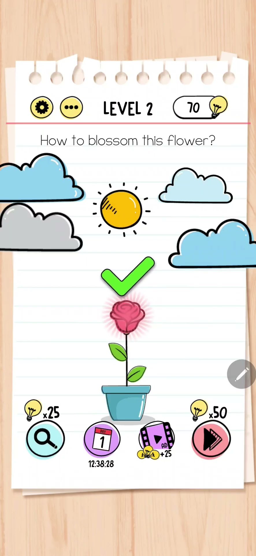 LearnToRead レベル２【Level2-1.2-2】 金津屋商店×エビス カラーソリッドレベル2【COLOR SOLID LEVEL2