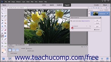 Photoshop Elements 2018 Tutorial Adjust Smart Fix Adobe Training