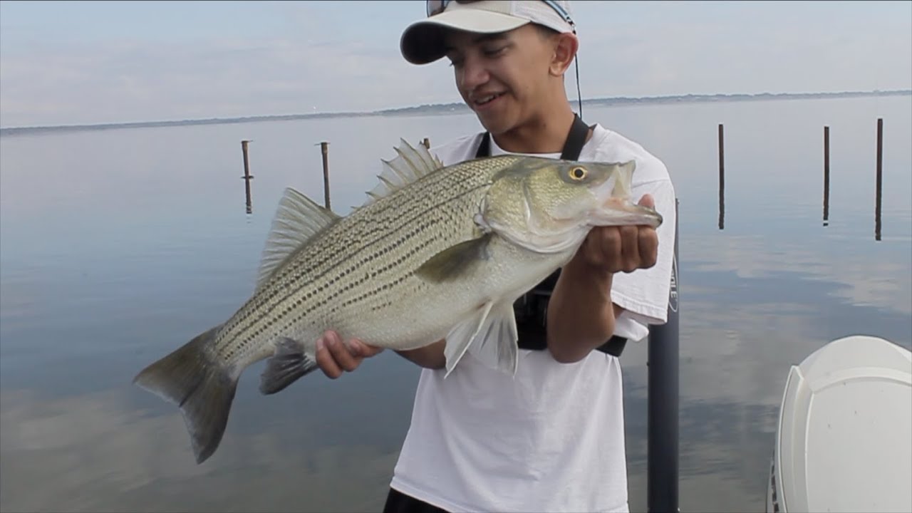 I Caught a HUGE FISH fishing Lake Somerville?! Lake Record? YouTube