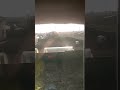 шотик про мотоблок