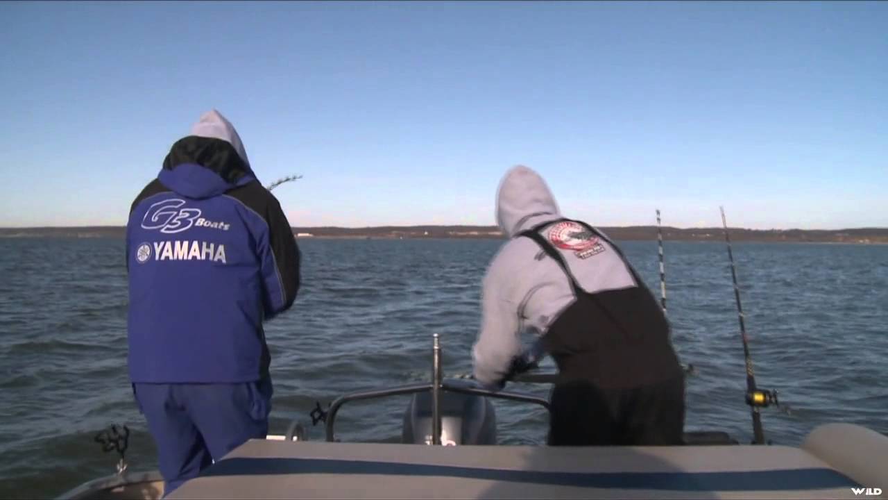 G3 Sportsman - Winter Spoonies