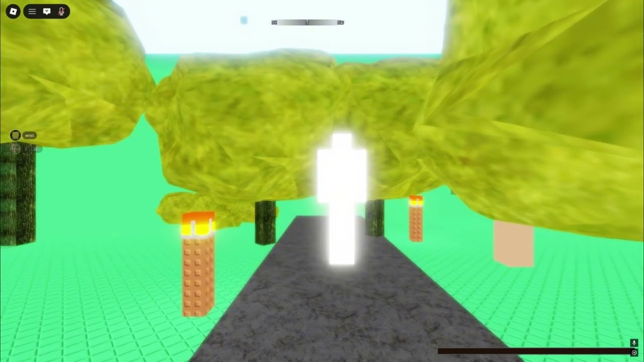 unban wrist from bankroll