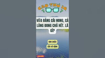 Câu Đố Vui Nhộn 2: Thử Thách Tư Duy Logic Của Bạn p32 | Cao Thủ IQ #funny #dovui #giaitri #haihuoc