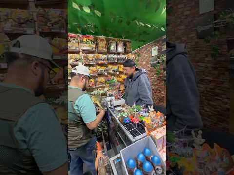 Cuando te agarran dormido #dinosaurios #humor #comedia #jurassicpark