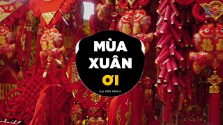 Mùa Xuân Ơi Remix - Đại Mèo Remix | Xuân Xuân Ơi Xuân Đã Về Remix Hot TikToK