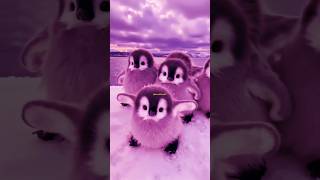 Dil mera Santi hai kithe reh gaya#shorts #singing #lyrics #trending #video#trending#viral#yt