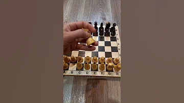 Шахматисты против кода! Человек это не товар и не шахматная фигура!