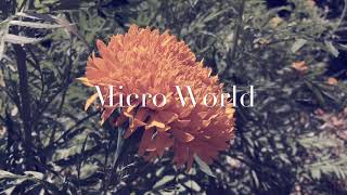 The Micro World screenshot 3