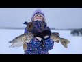 Ice Fishing Pike on Tip-Ups