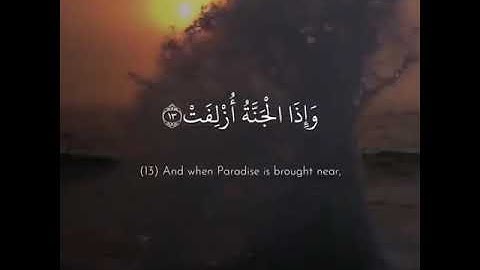 قرآن كريم بصوت سعد الغامدي || حالات واتس اب دينية