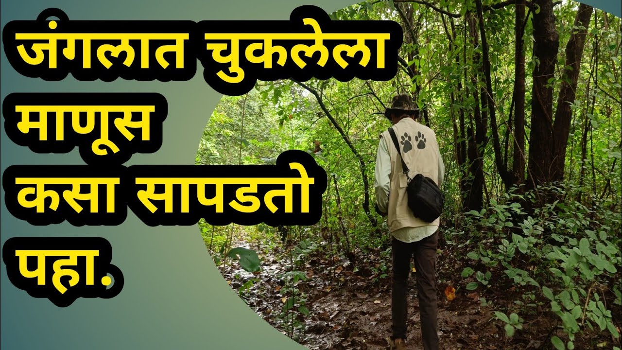 अरण्याची भाषा.life in jungle. जंगल कसे वाचावे. Marathi discovery. जंगलात फिरताना कोणती काळजी घ्यावी