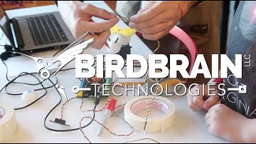 BirdBrain Technologies LLC