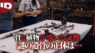 【謎の頭蓋骨】犯人特定の証拠は'植物”にあった | CSI・科学捜査最前線 S2 Ep.18 (ID Investigation Discovery)