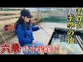 六華(りっか)で小物釣り~手賀沼編~ 鈴原ありさ