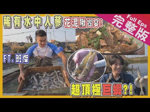 【台南】大來賓班傑｜水中人蔘花泥鰍/巨無霸頂級白蝦/官田限定菱角/百年傳統麵茶冰《世界第一等》1078集 完整版 Taiwan EP. 1078 EngSub