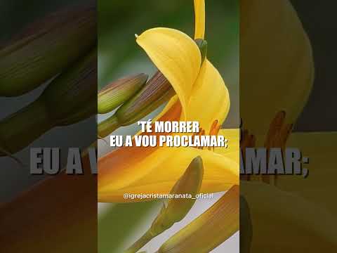 Você ama a mensagem da Cruz? ❤️ - Igreja Cristã Maranata