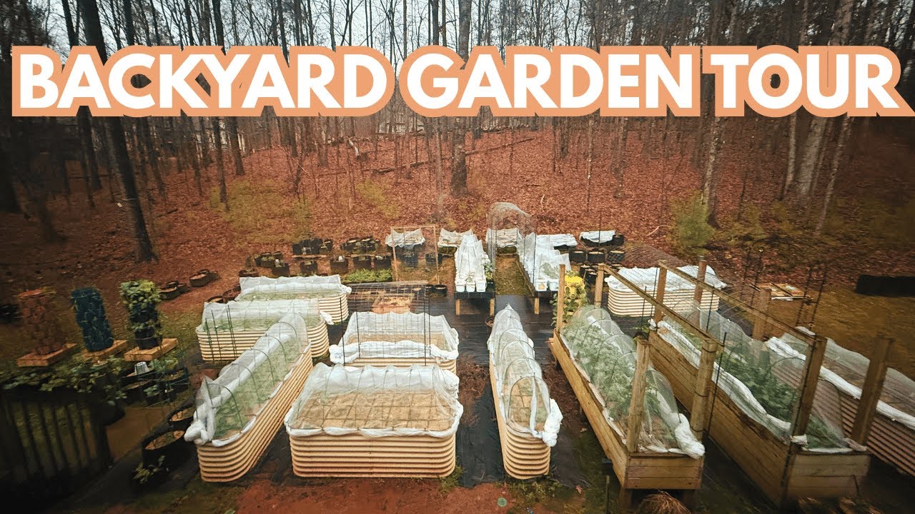 Garden Tour & Harvest | NEW Update - Winter Garden (Week 3) January 2026