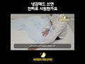 냉감패드 쓰면 진짜로 시원한가요 (로디 포르페 냉감패드)