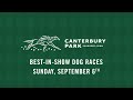Best in Show