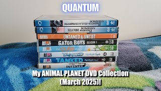 My Animal Planet DVD Collection! (March 2025)