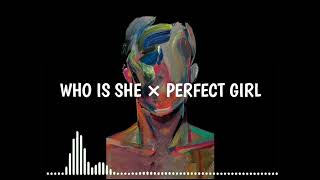 Vignette de la vidéo "WHO IS SHE × PERFECT GIRL[REMIX] (Ringtone)"