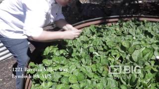 Lyndoch Hill A Restaurants In Adelaide Serving Best Wine And Steak