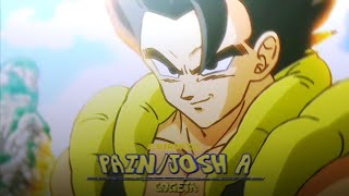 Painjosh A - Gogetaedit E-Birdkill