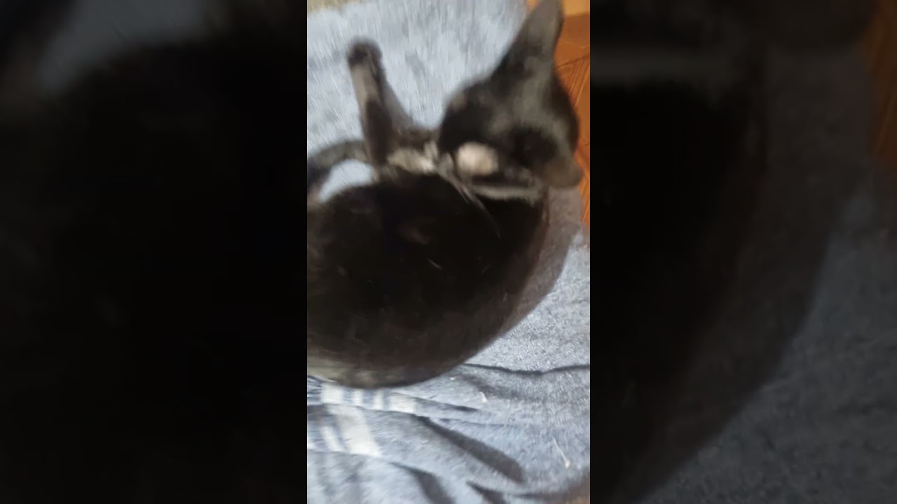 14 de febrero de 2026