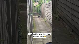 I Walked By And They Had To Walk Back