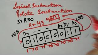 Celebrity Instructions Set -26 | Logical Instructions | Rotate Instruction - 2 | 8085 Microprocessor Profile