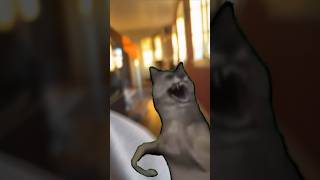 Jumpscare Dancing Wolf meme #funny #dance #memes