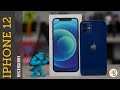 بررسی آیفون ۱۲ آیفونی که باید بخرید تا وقتی که مینی از راه برسد