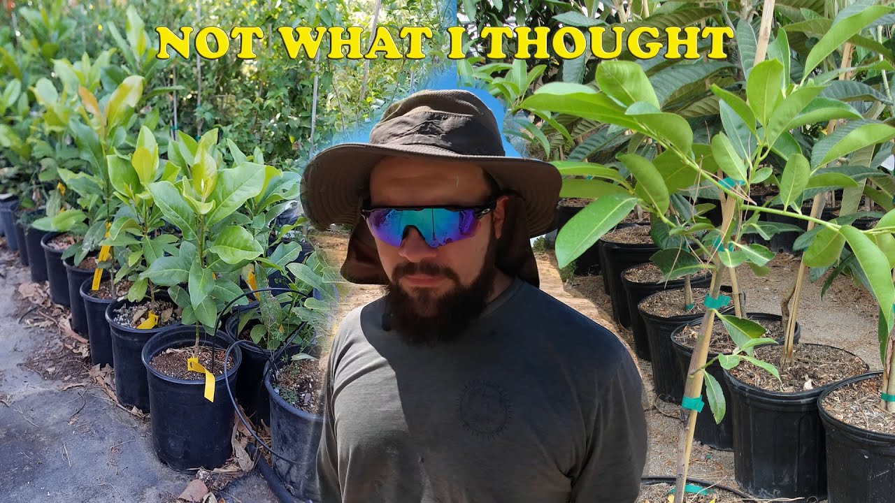 Grow Plants and Get Rich! Backyard Nursery Struggles