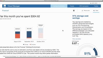 Understanding OnCommand Cloud Manager cost reports