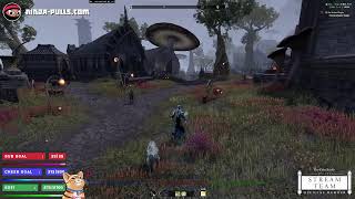 💥 Patch Notes!💥Gamesfest Day 18 💥 Pact Story & Planescape Torment! 💥