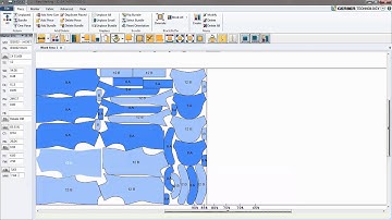 AccuMark Tip of the Day - Fabric Cost and Weight in Easy Marking