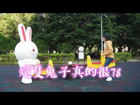 HowFun / 這隻兔子真的很78