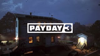 Celebrity Gustavo Coutinho - Same Shit, Different Day (A Let Them Cook Remix) Payday 3 - Cook Off Net Worth