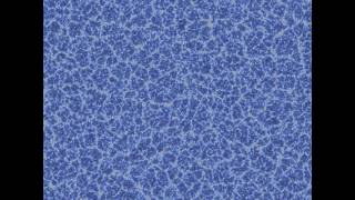 Convective Boundary Layer - temperature